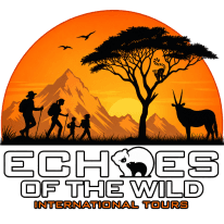 Echoes of the Wild