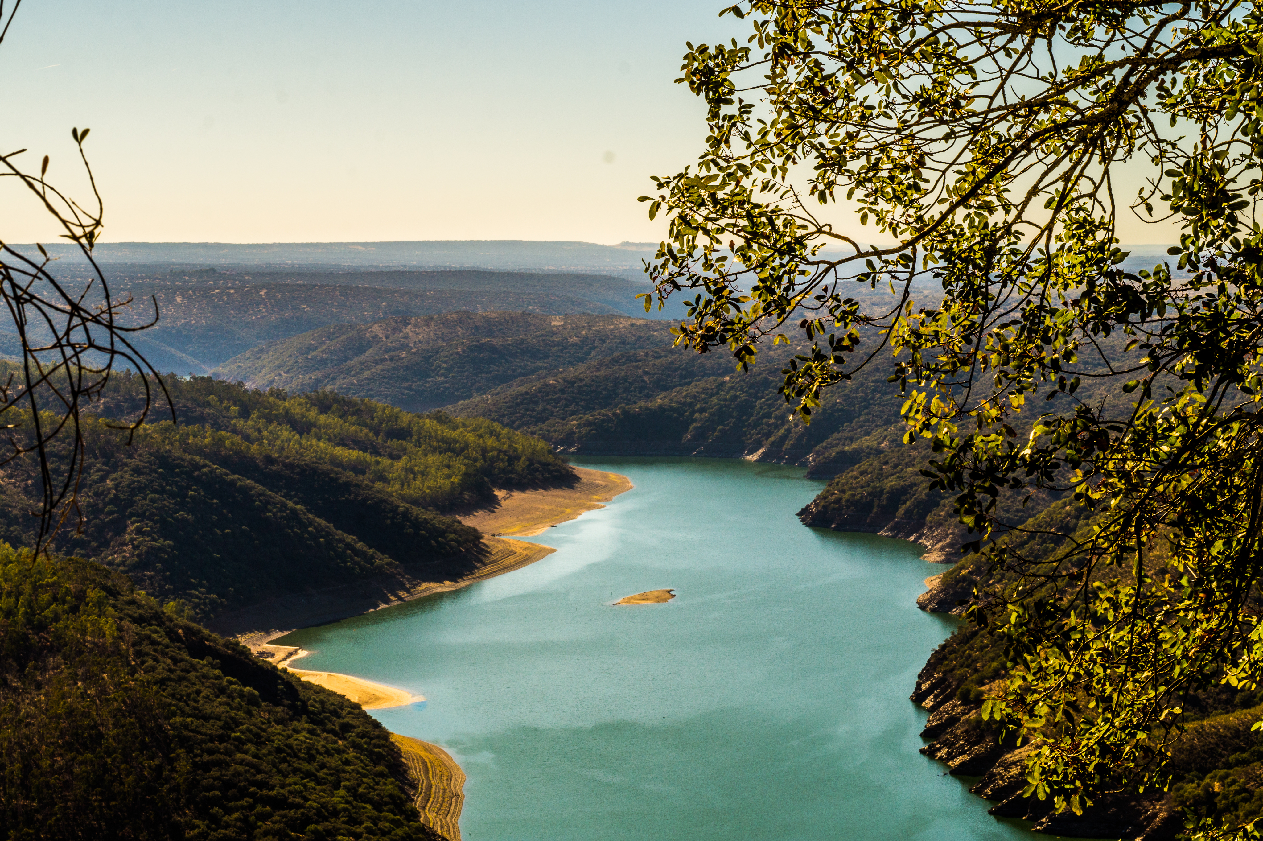 Nature landscape
